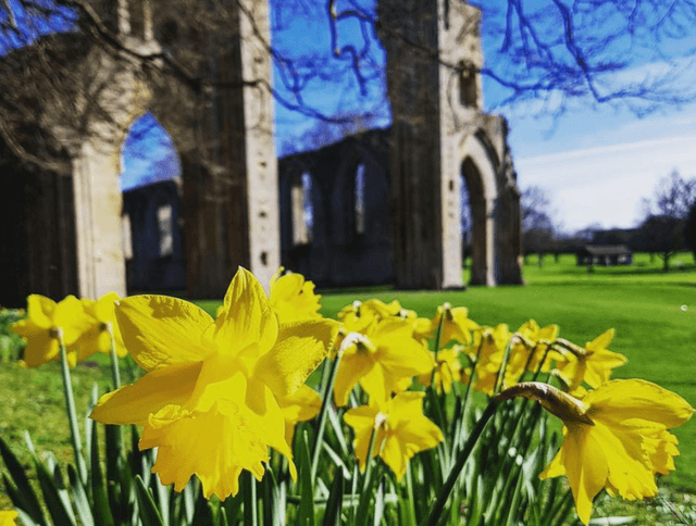 Glastonbury Abbey