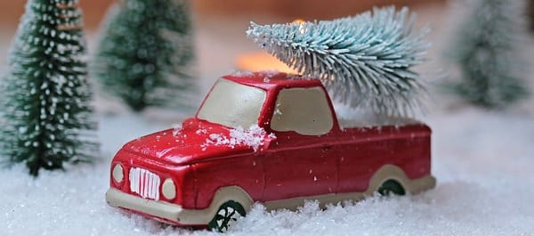 Christmas Trees at Wookey Hub