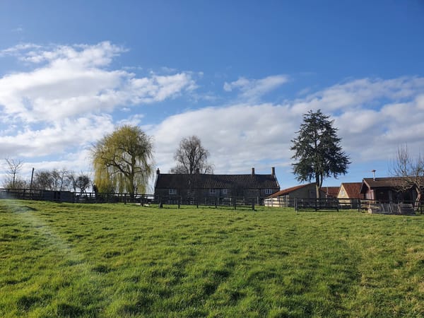 The Middlewick
