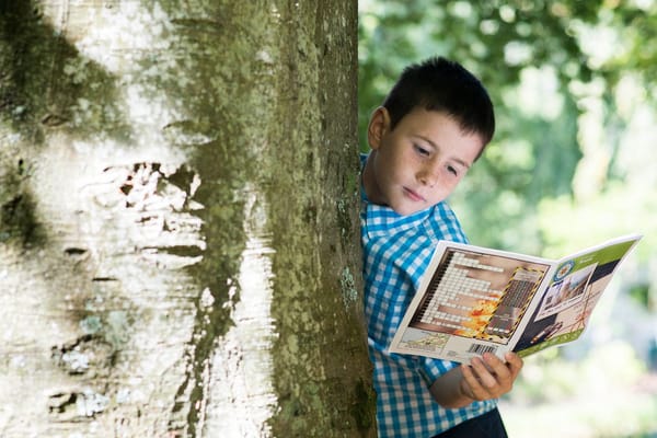 Glastonbury Treasure Hunt Trail