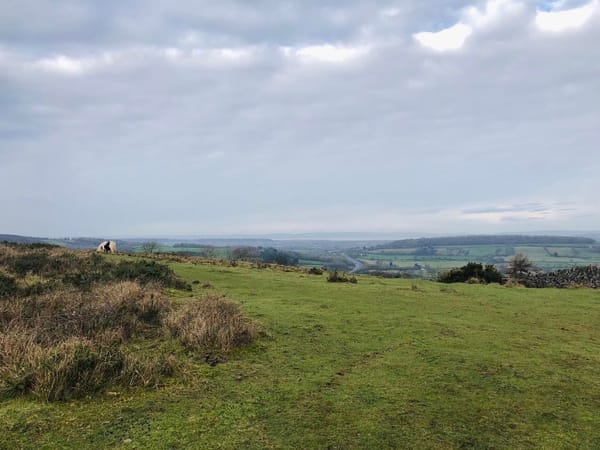 Kings Wood, Wavering Down and Crook Peak
