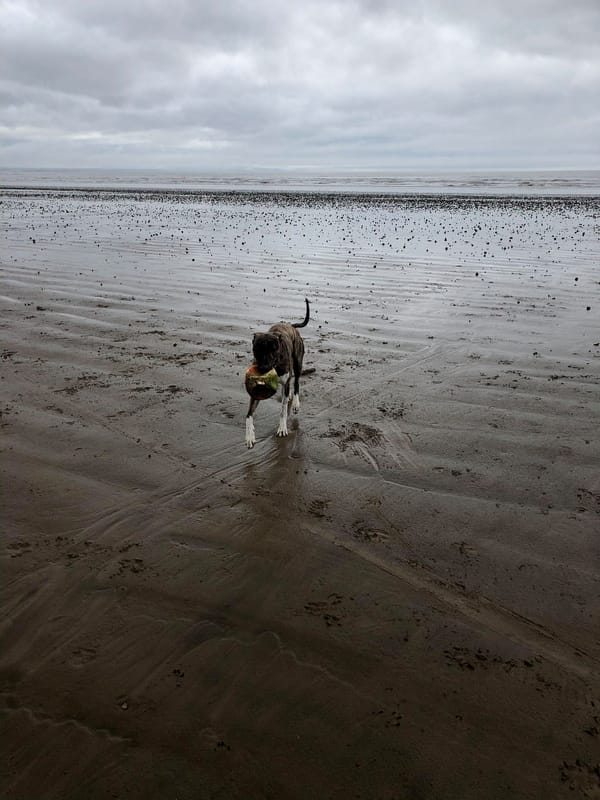 Berrow Beach