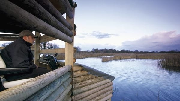 RSPB Ham Wall