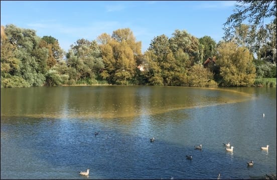 Apex Park