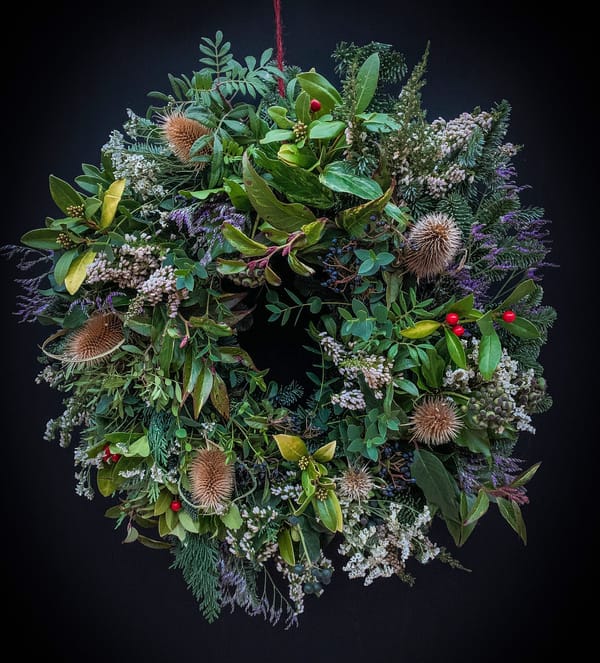 Flowers Evolution