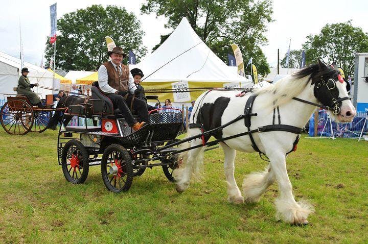 The Mid-Somerset Show - image 1