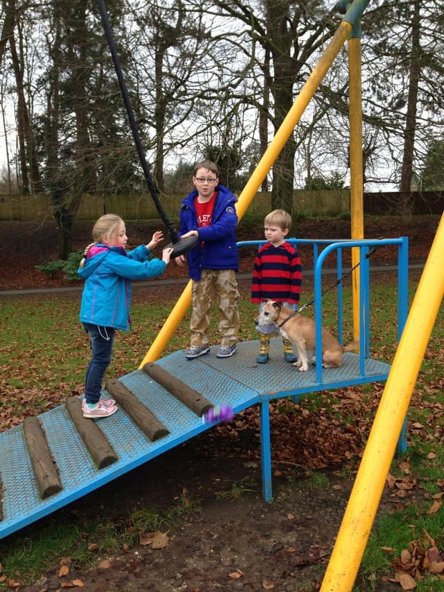 Collett Park, Shepton Mallet